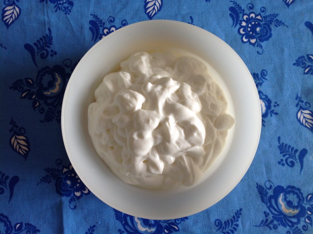 selbst-gemachter Joghurt
