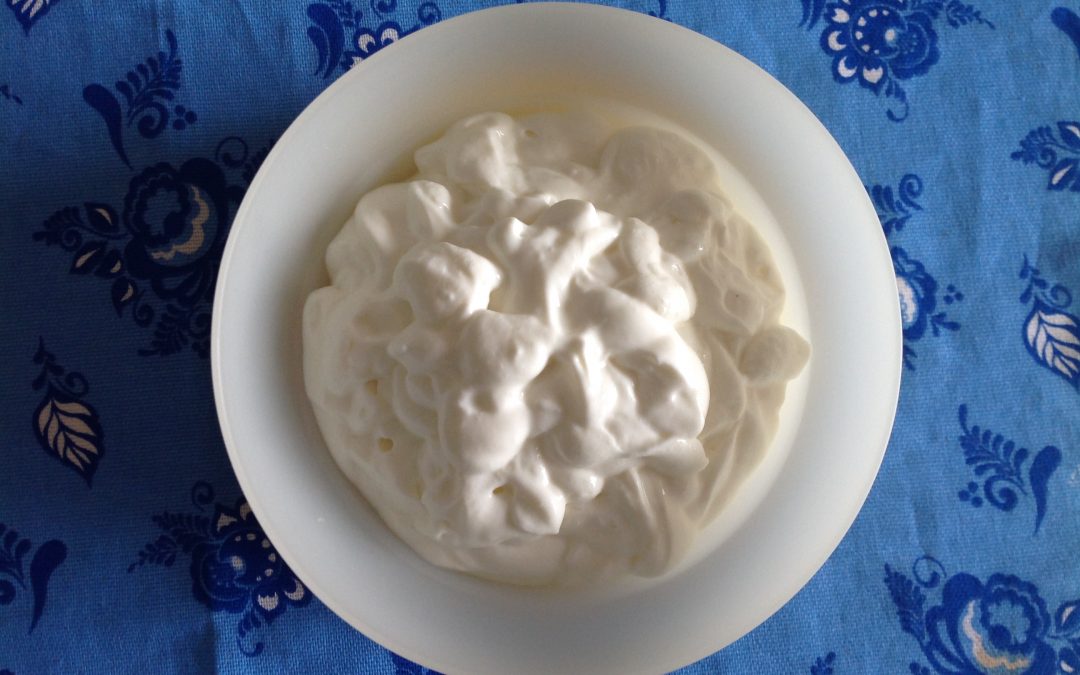 selbst-gemachter Joghurt