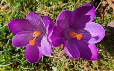 Licht- und Rückblick: Das war mein Februar