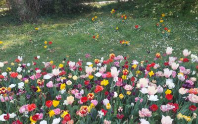 Mein April? Schweigen wir lieber darüber