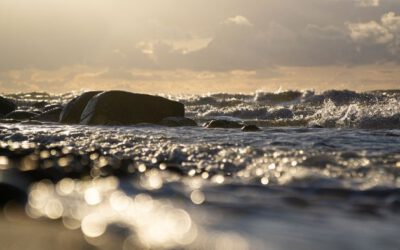 Sehen wir uns … an der Ostsee?